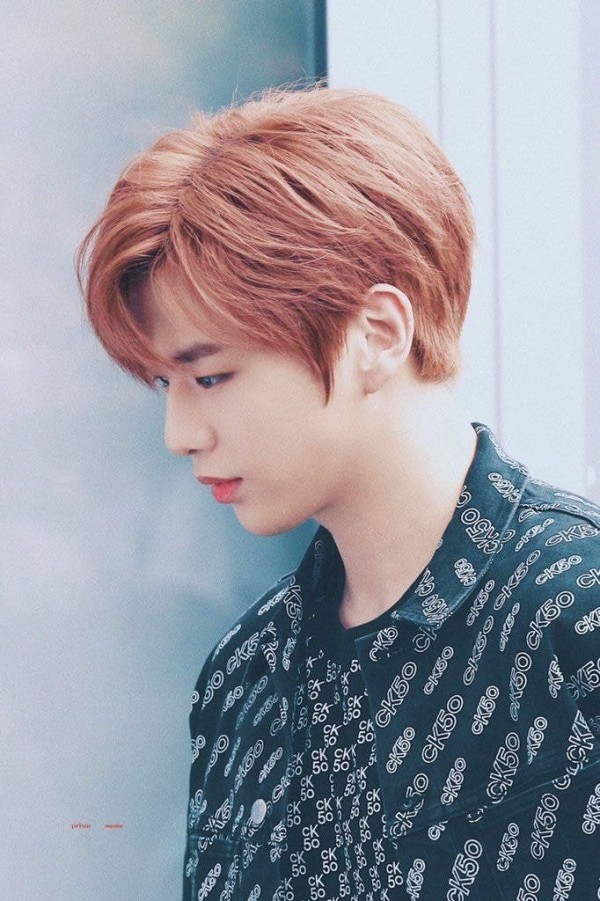 Inilah 10 Besar ID IDOL TERBAIK ’untuk Minggu Kelima bulan April 2020 Saat Per Penggemar Memilih Voting 