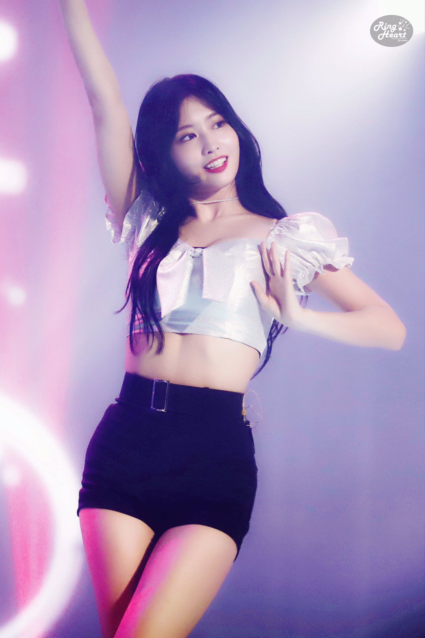 tanaman momo 4