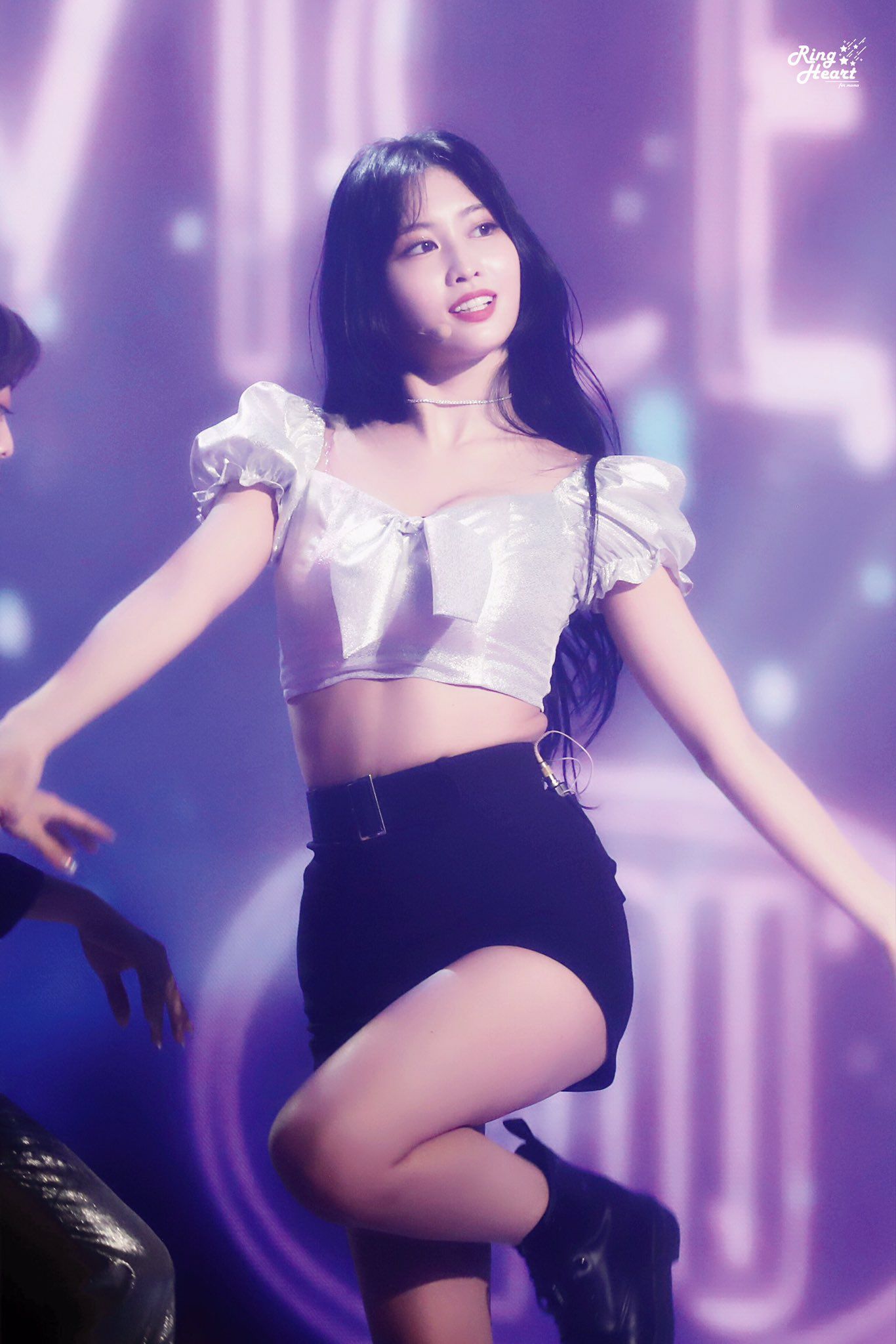 tanaman momo 5