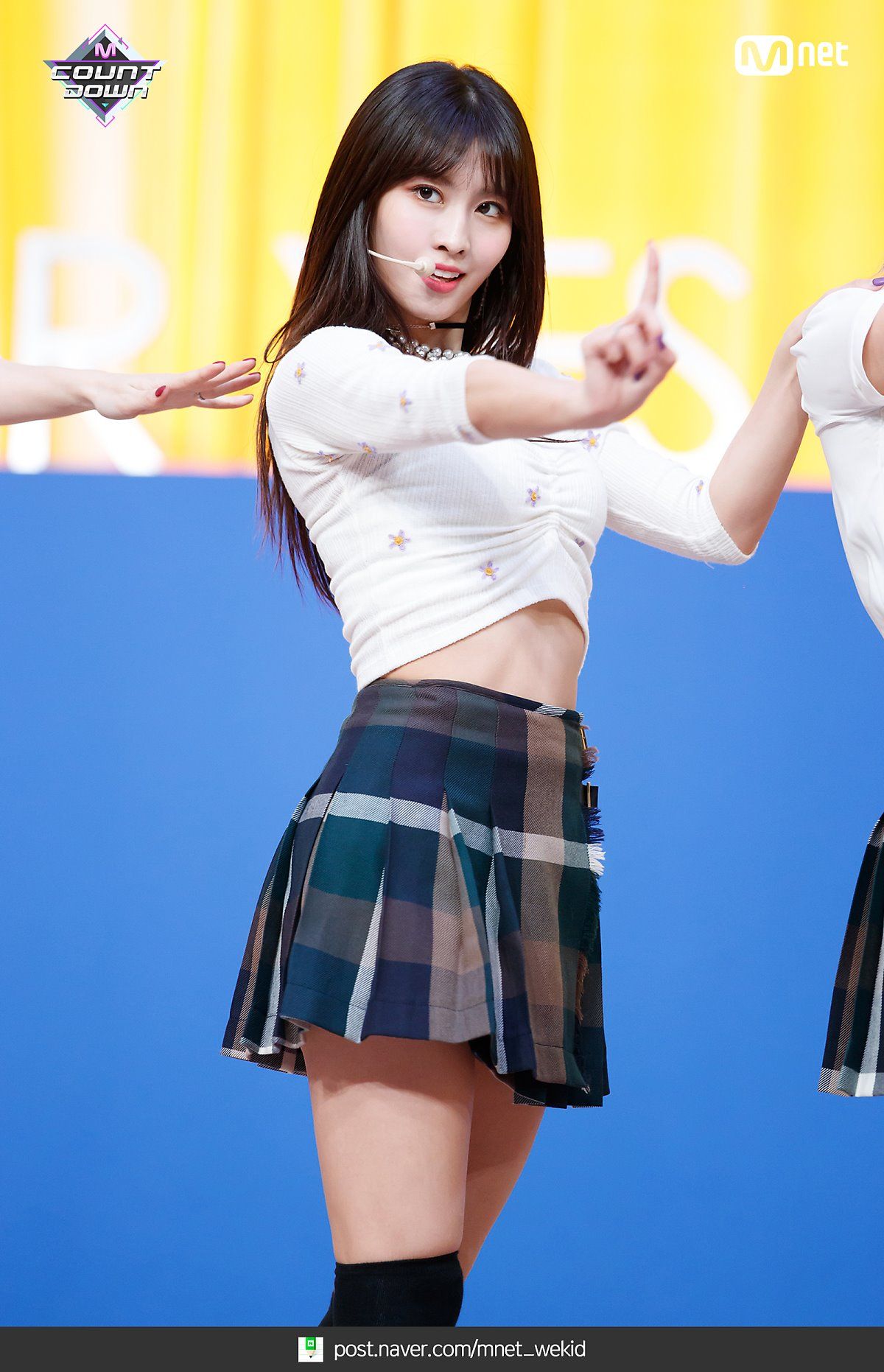 tanaman momo 12