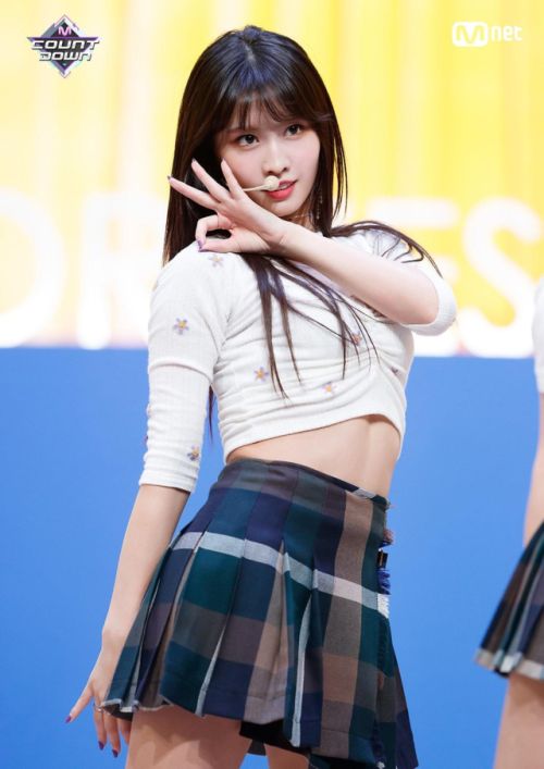 tanaman momo 11
