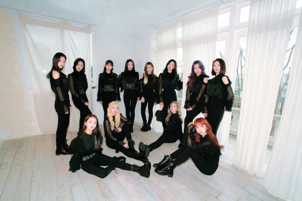 kupu-kupu loona