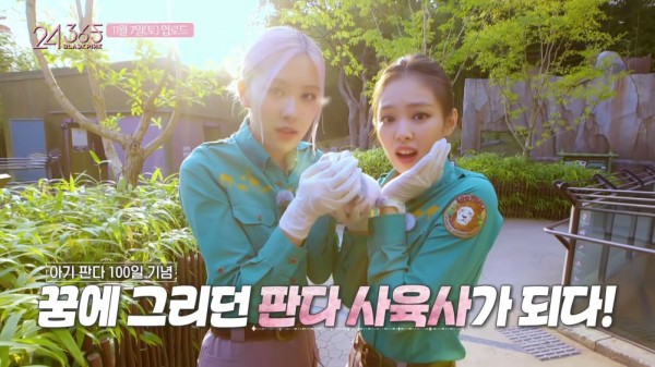 Netizen Tiongkok Membanting BLACKPINK Karena Berinteraksi dengan Panda