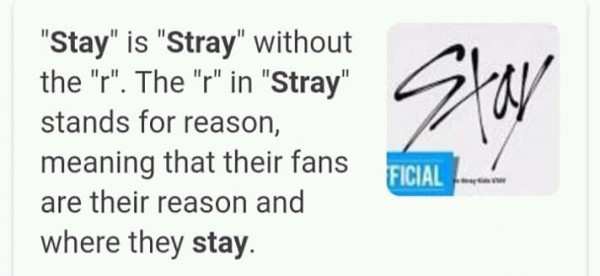 Penggemar Stray Kids dan Rookie Group STAYC Dalam Konflik Karena Nama Fandom