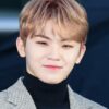 Woozi Seventeen