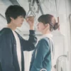 Potret Mesra Suzy Dan Park Bo Gum Di ‘wonderland’ Memanaskan Antusiasme Fans